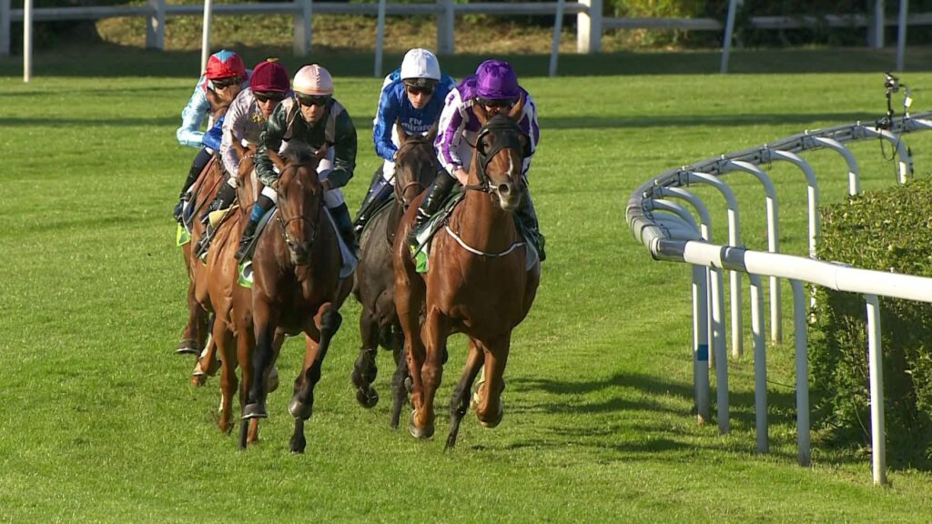 Jeu simple gagnant ou placé